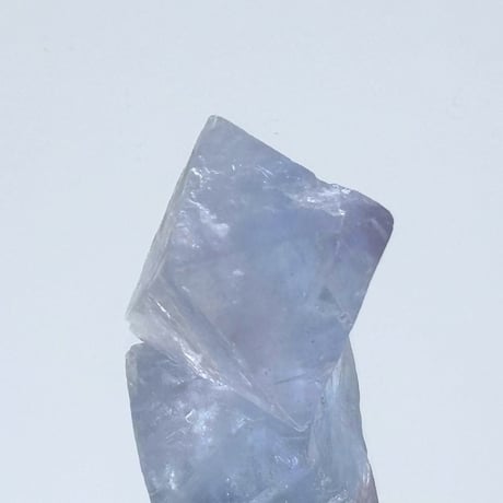 ブルーフローライト | STORES