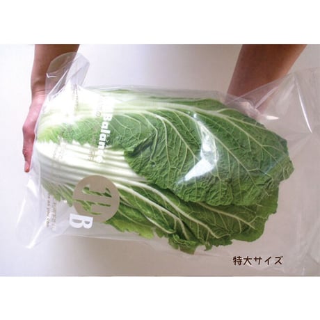 新鮮チャック袋　バラエティセット（7枚入り）