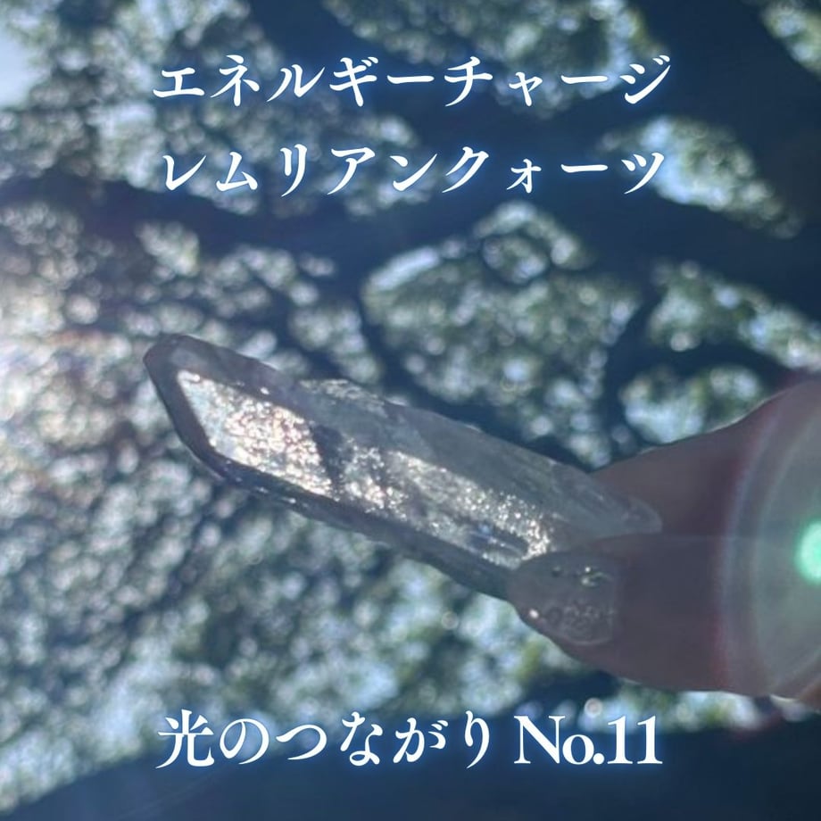 6791b2bb827c0205889503a8