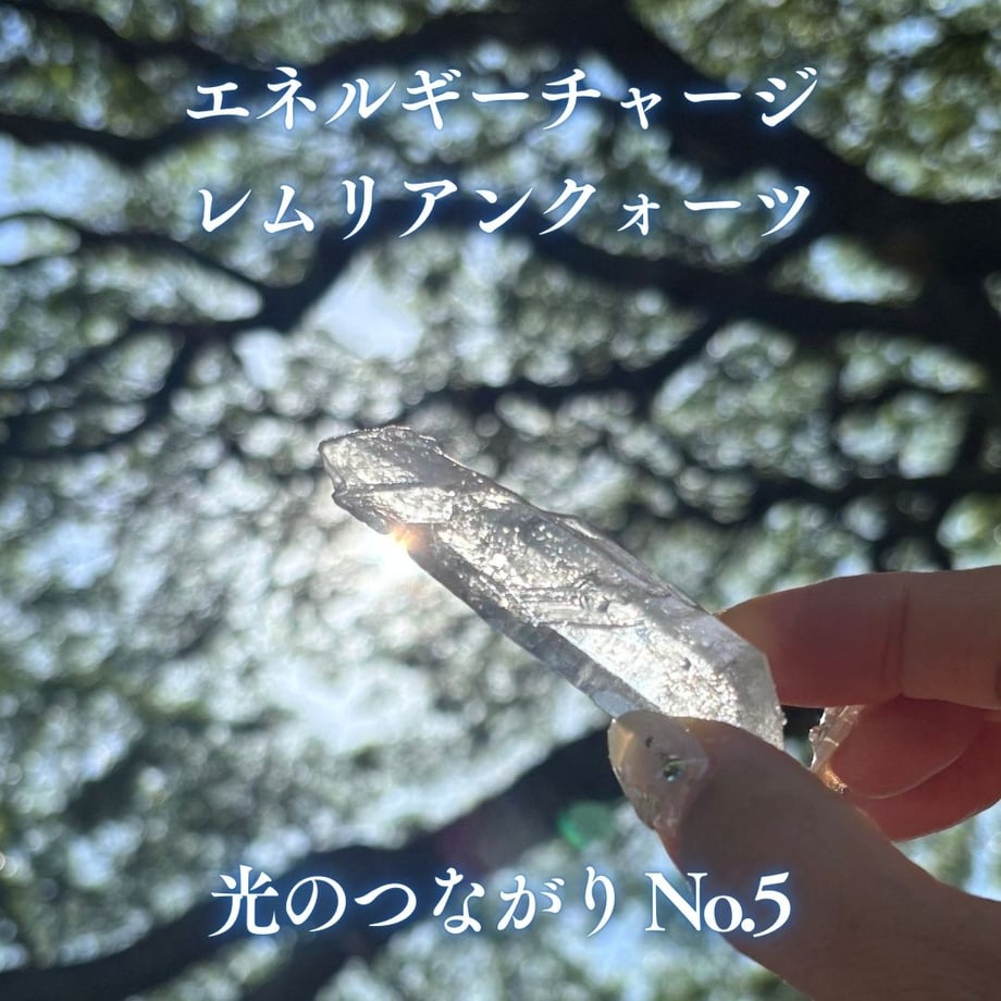 679191f7c4137004d35957c9