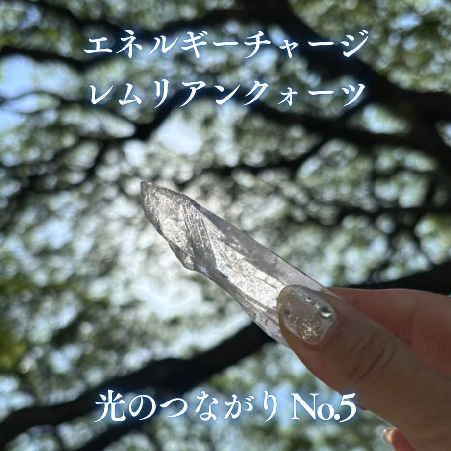 679191f7c4137004d35957c9