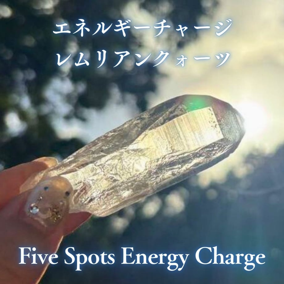 6791b9a791f26e022db78907