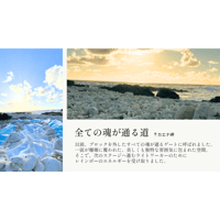 【ハワイチャージ】マダガスカル グリーンファントム 3A