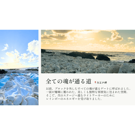 【ハワイチャージ】マダガスカル グリーンファントム 3A