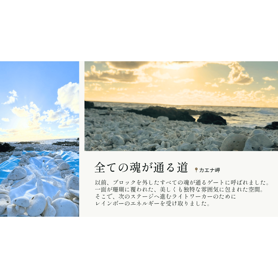 69f31ff8e5a6e6533fb98719