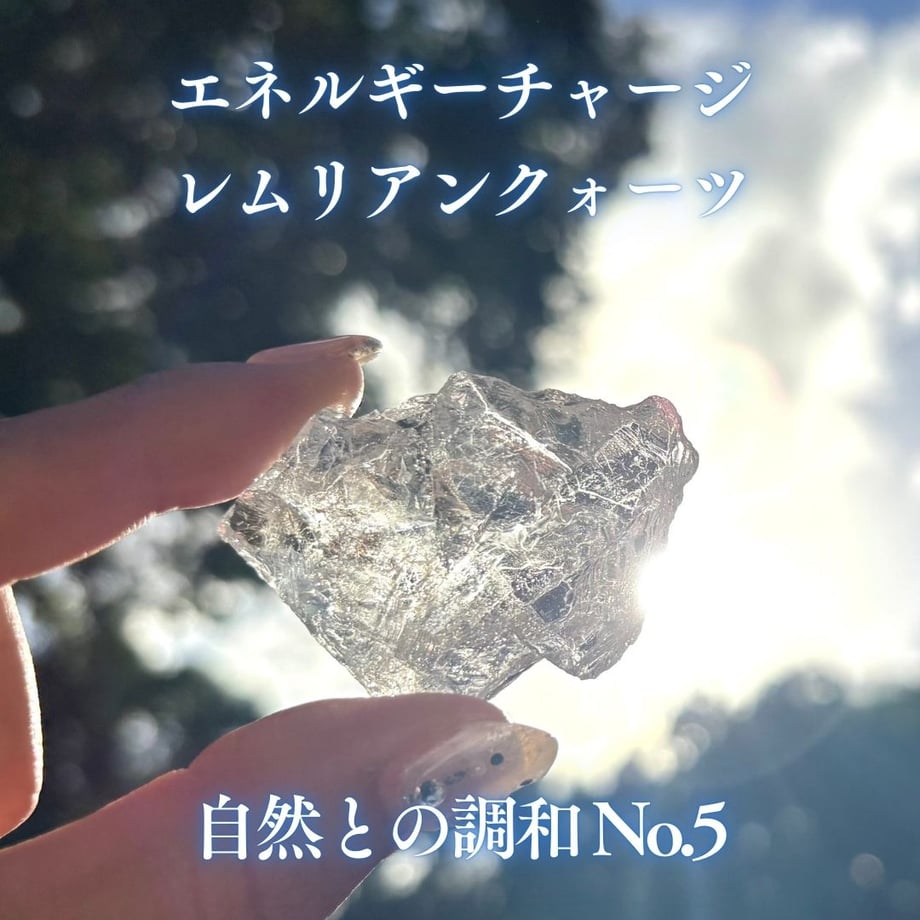 6791baf66270d0002d11cdb4