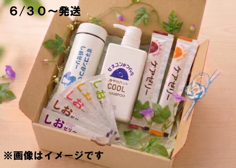 CATEGORY 熱中症対策 | ゼネコンがつくったしおゼリー