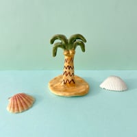 ヤシの金玉
