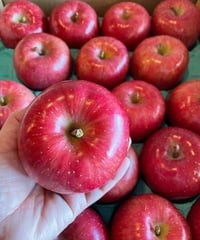 釈迦のりんご園 りんご 1玉（バラ売り）
