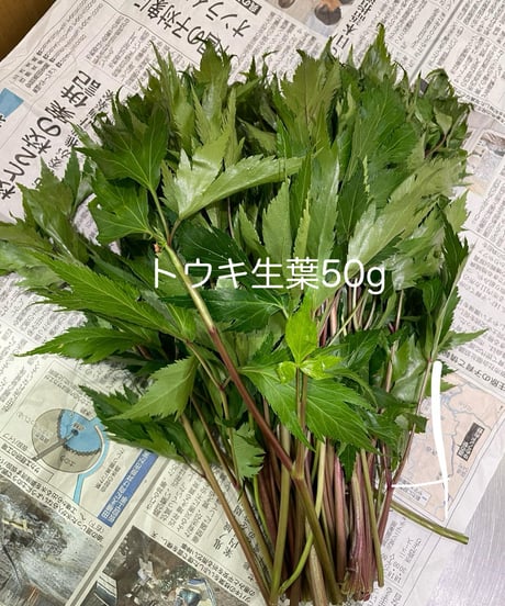 大和当帰 葉 100g