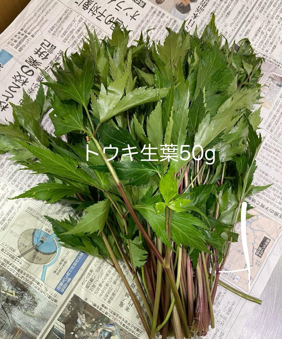 69e97a08173c4a168d5fe8b7