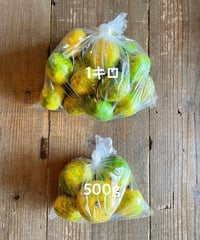 夢農園 自然栽培 極早生みかん 500ｇ