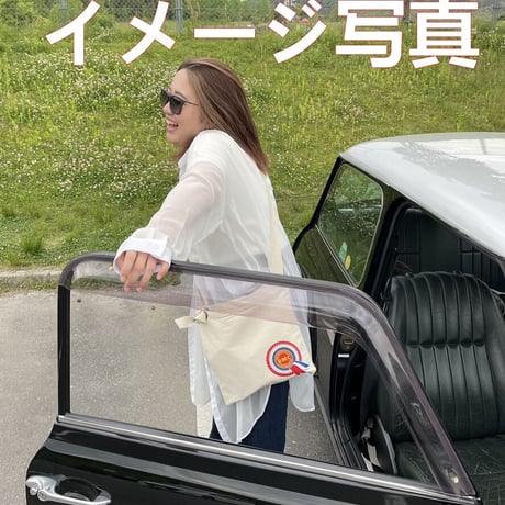 MINI ☆3WAY 10oz サコッシュ 斜め掛け＜Austin Mini＞