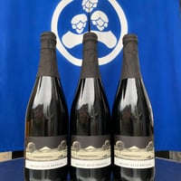 季節のビール750mlボトル　おまかせ4本セット　定期便