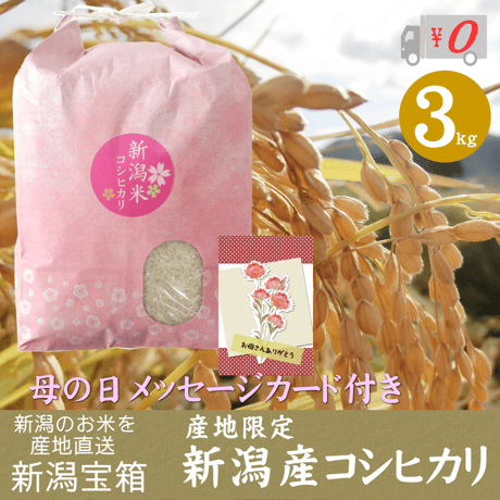 母の日メッセージカード付き 稀少米 産地限定 新潟県産コシヒカリ 3kg