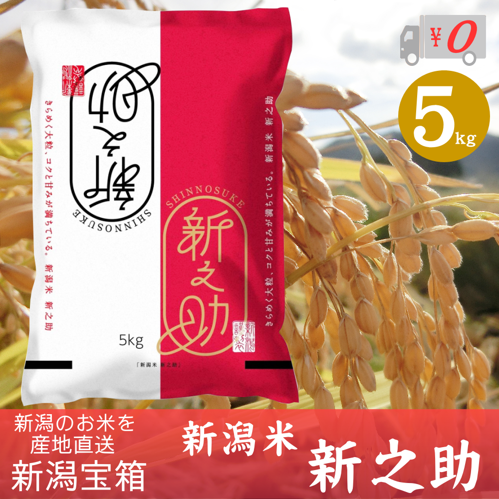 新之助　お米　送料無料　新潟米　5kg　産地直送米　白米　しんのすけ　新米　新潟県産　令和5年産