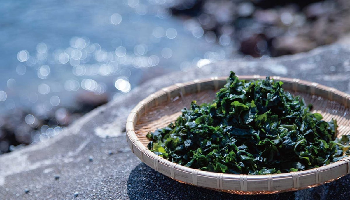 わかめごはん 35g | 【香り芽本舗】 STORES店