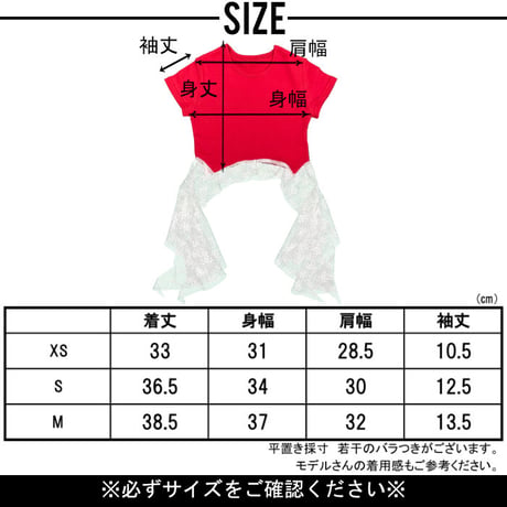 b5282　レーススイングT