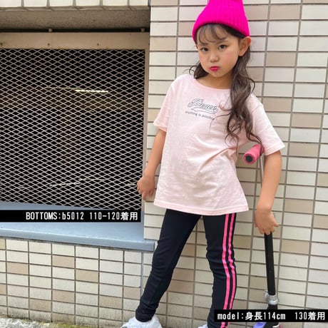 b5160　PeacePtパステルT