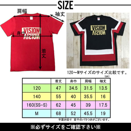 b5041　VISIONロゴラメT