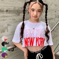 b5256　ロゴカットオフNYptT