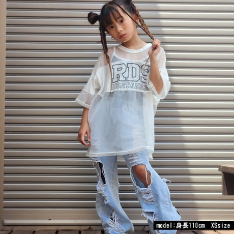 b5207　メッシュ切替BIGT