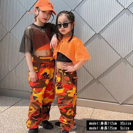 b5203　メッシュワイドショート丈T