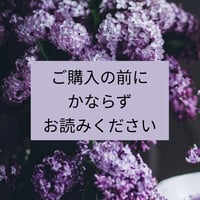 ご購入前に必ずこちらをご覧ください
