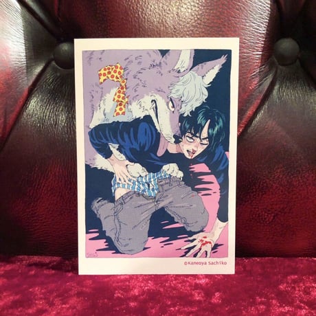 Sachiko Kaneoya カネオヤサチコ ポストカードセット (見つめている)