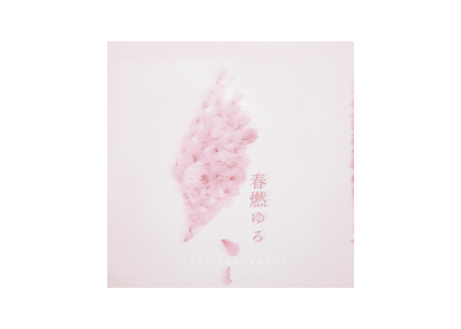 69d7cd21d2ff8f3b510a8093