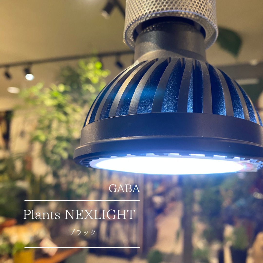 植物育成LEDライト【PlantsNEXLIGHT】 | GABA 植物育成LEDライト【PlantsNEXLIGHT】 | GABA