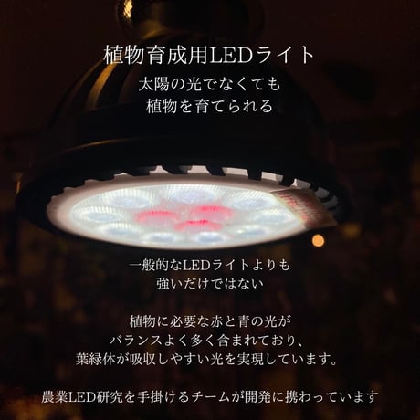 植物育成LEDライト【PlantsNEXLIGHT】