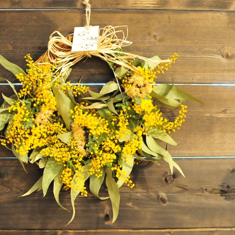 春を呼ぶミモザリース 桜色オーバルリース 【公式通販】