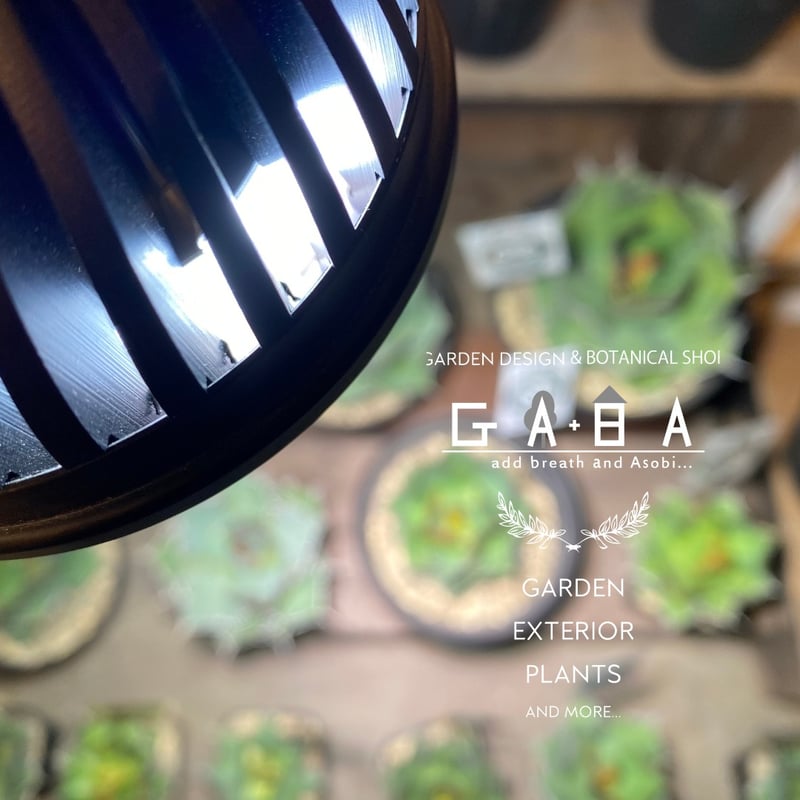 育成ライト　PlantsNEXLIGHT 楽天市場】PLANTS NEXLIGHT 選べる色 正規取扱い店 観葉植物