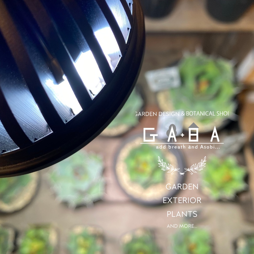 植物育成ライト 植物育成LED 育つライト | 苔テラリウム専門店Feel The Garden