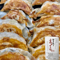 焼餃子 焼き餃子 – 大東北公式直販店