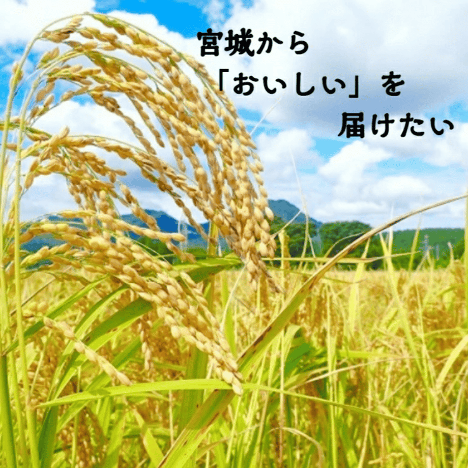 69d74b0eb37ea410e9a966b9