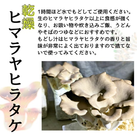 送料無料！ 木漏れ日農園 国産 乾燥きのこ　選べる4種　乾燥キクラゲ・乾燥あわび茸・ 乾燥ヒマラヤヒラタケ 日本産　麻辣湯　中華　パスタ