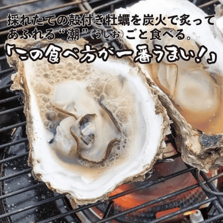 送料無料！【農林水産大臣賞受賞】三陸石巻 牡蠣の潮煮 130g 1袋～3袋セット 無添加 ご当地グルメ　自然の恵