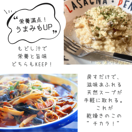 送料無料！ 木漏れ日農園 国産 乾燥きのこ　選べる4種　乾燥キクラゲ・乾燥あわび茸・ 乾燥ヒマラヤヒラタケ 日本産　麻辣湯　中華　パスタ