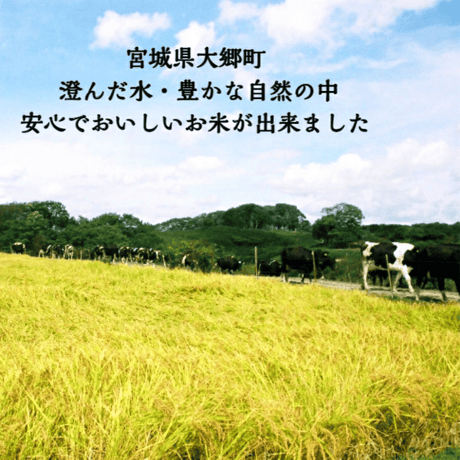 送料無料 令和7年産 減農薬・有機肥料使用 宮城県産 つや姫 5kg 10kg 白米 玄米 菊池牧場