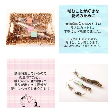 【メール便送料無料】無添加 無着色 犬用 OISHIKUTE 小型犬用 鹿角ドックガム Sサイズ 愛犬 ジビエ ドッグトリーツ