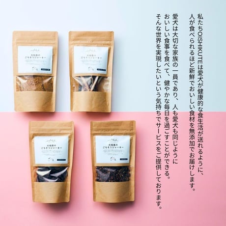 【メール便送料無料】無添加 無着色 犬用 OISHIKUTE 小型犬用 鹿角ドックガム Sサイズ 愛犬 ジビエ ドッグトリーツ