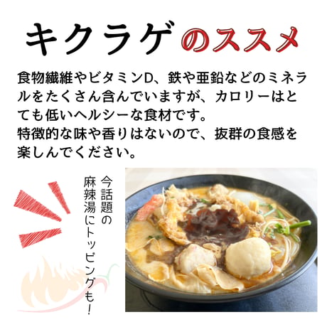 送料無料！ 木漏れ日農園 国産 乾燥きのこ　選べる4種　乾燥キクラゲ・乾燥あわび茸・ 乾燥ヒマラヤヒラタケ 日本産　麻辣湯　中華　パスタ
