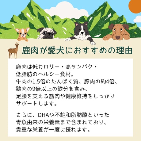 【メール便送料無料】無添加 無着色 犬用 OISHIKUTE 大槌鹿のごちそうジャーキー （スライス）20g