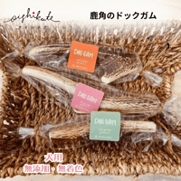 【メール便送料無料】無添加 無着色 犬用 OISHIKUTE 小型犬用 鹿角ドックガム Sサイズ 愛犬 ジビエ ドッグトリーツ