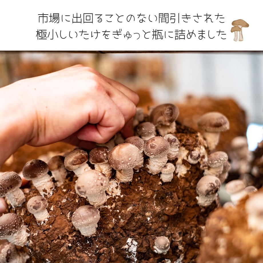 68f5bedd7beeeb38aa4407ec