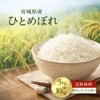 送料無料！令和7年産 宮城県産ひとめぼれ 白米 5kg or 10kg お米 美味しい おいしいお米 おこめ 5キロ 10キロ 精米 国産米