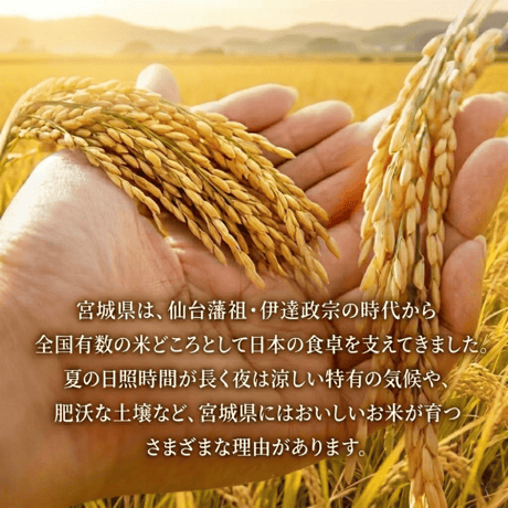 送料無料！令和7年産 宮城県産ひとめぼれ 白米 5kg or 10kg お米 美味しい おいしいお米 おこめ 5キロ 10キロ 精米 国産米