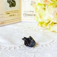♦︎穢れを祓い、宇宙からのエネルギーを受け取る♦︎シホテアリニ隕石(鑑別書付き)